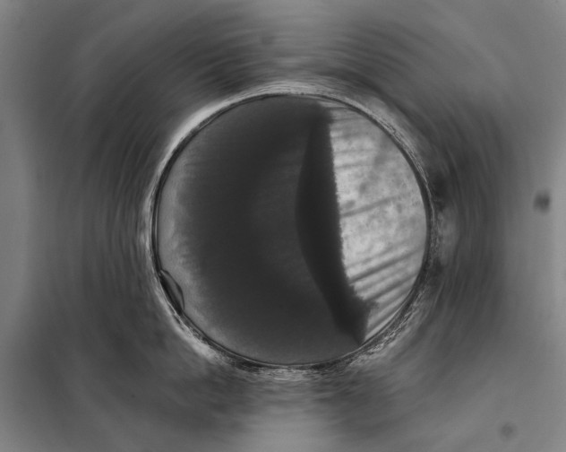 X0000097910862200804041500