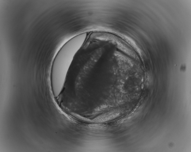 X0000097910863200804041500