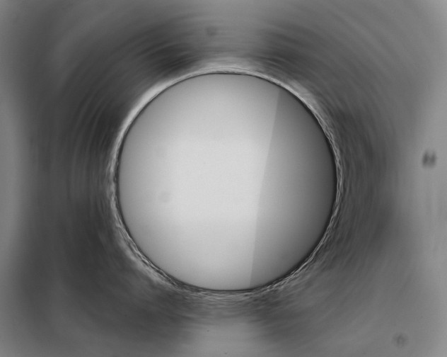 X0000097910864200804041500