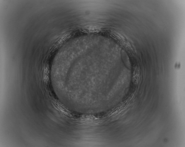 X0000097910866200804041459