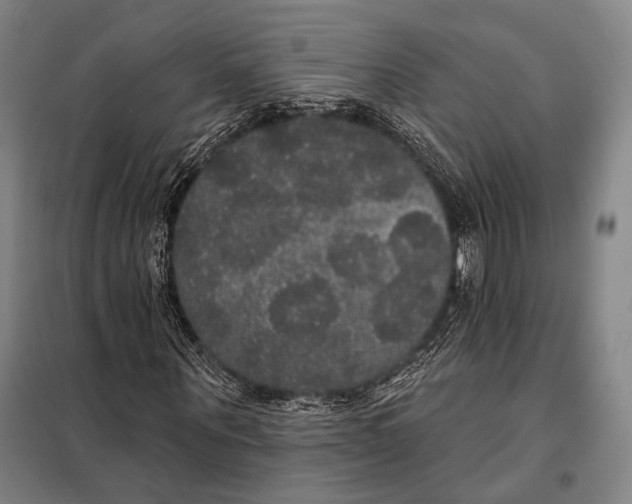 X0000097910867200804041459