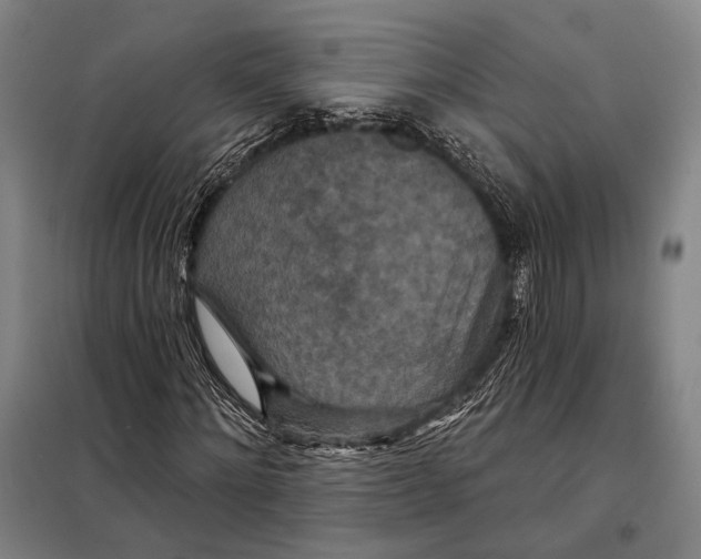 X0000097910868200804041459