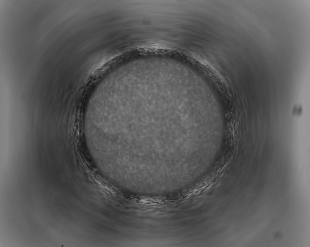 X0000097910870200804041459