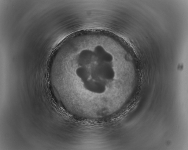 X0000097910871200804041459