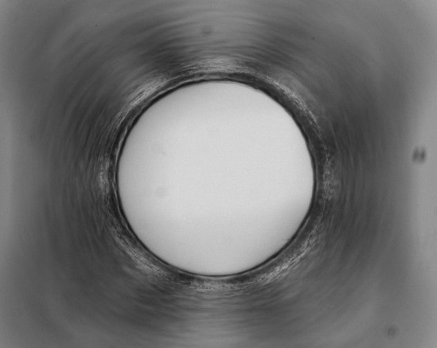 X0000097910873200804041459