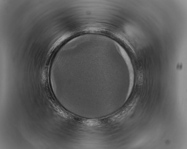 X0000097910874200804041459