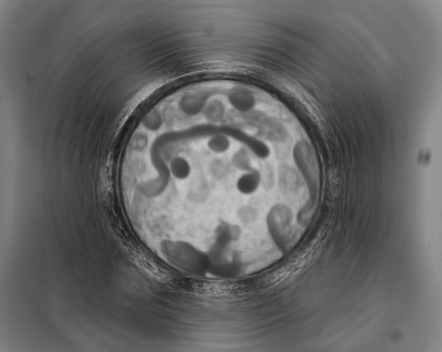 X0000097910875200804041459