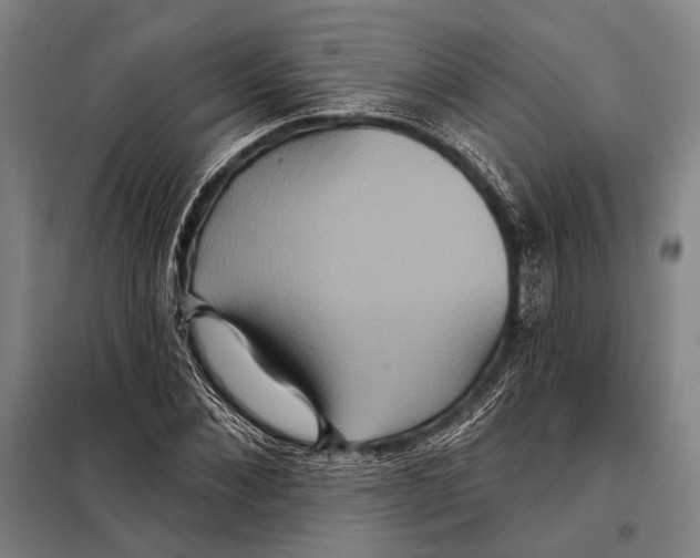 X0000097910876200804041459