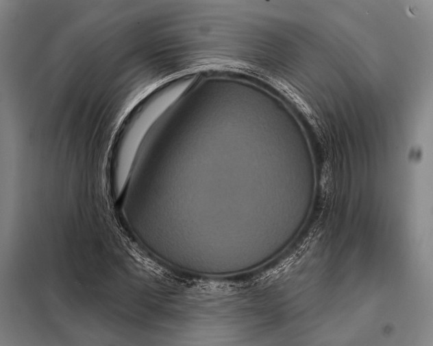 X0000097910877200804041459