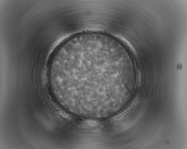 X0000097910878200804041459