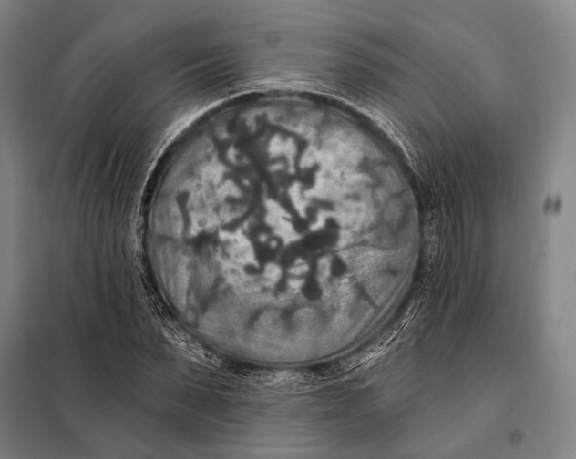 X0000097910879200804041459