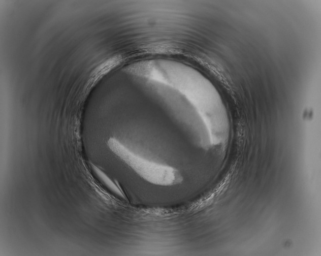 X0000097910881200804041459