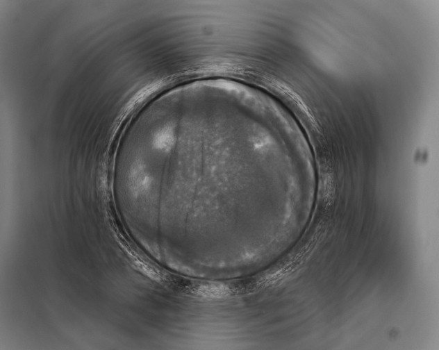 X0000097910882200804041459