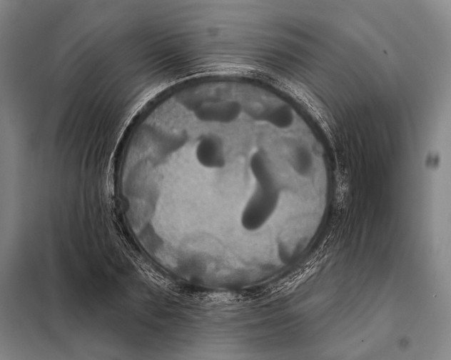 X0000097910883200804041459