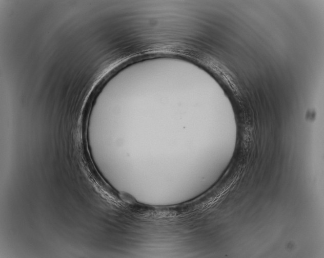 X0000097910884200804041459