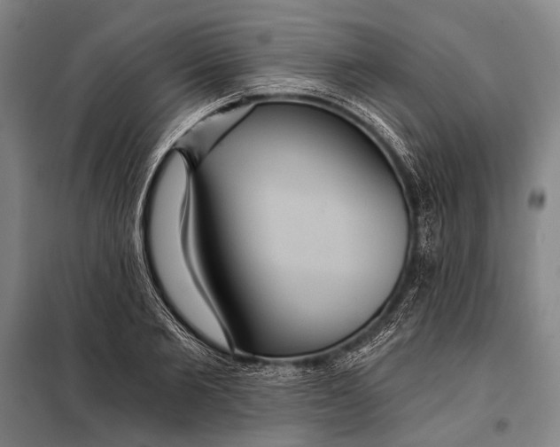 X0000097910885200804041459