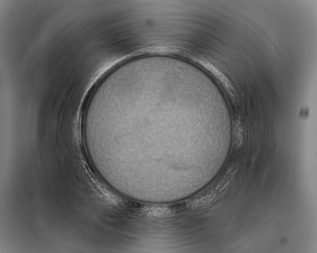 X0000097910886200804041459