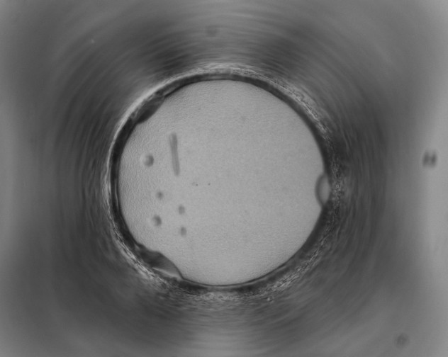 X0000097910888200804041459