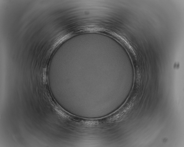 X0000097910889200804041459