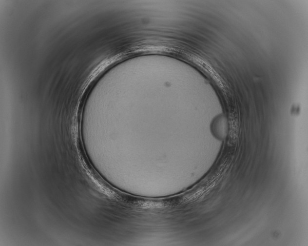 X0000097910890200804041459