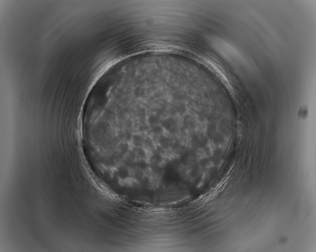 X0000097910891200804041459