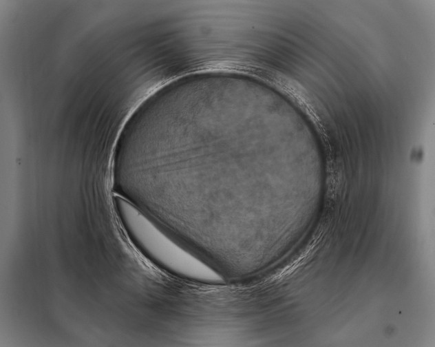 X0000097910892200804041459