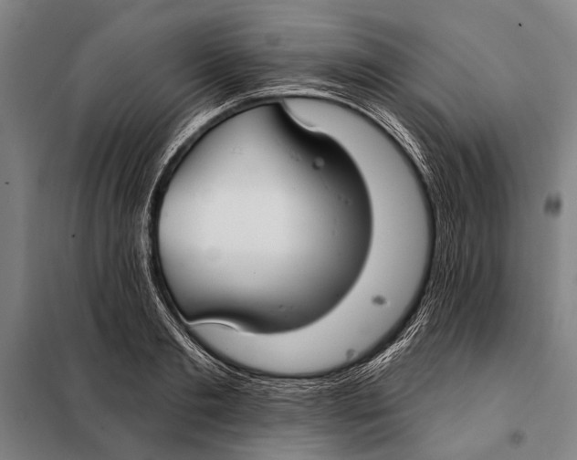 X0000097910893200804041459