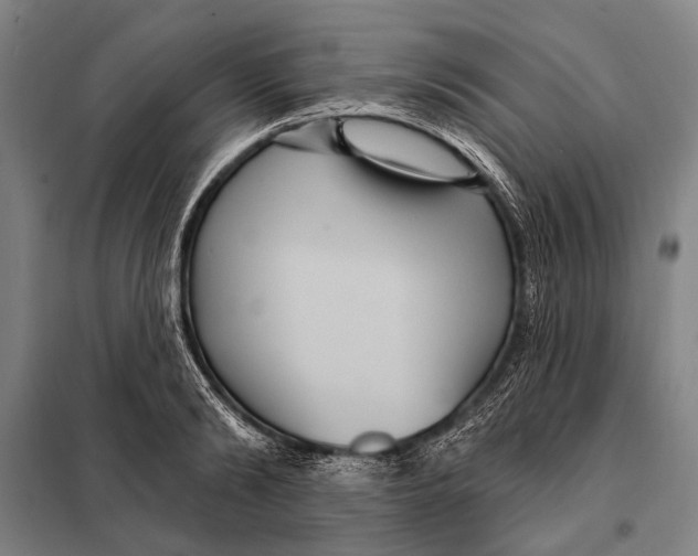 X0000097910894200804041459