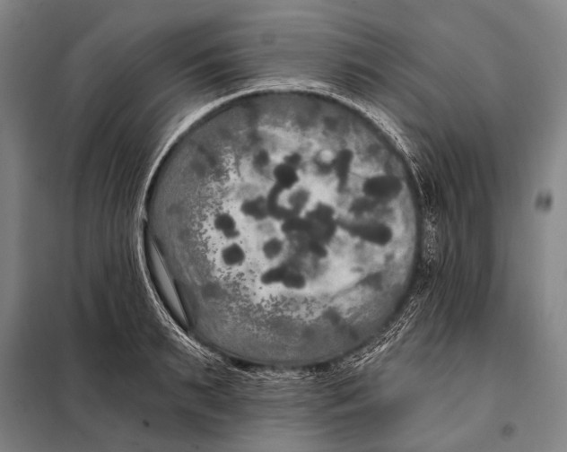 X0000097910895200804041459