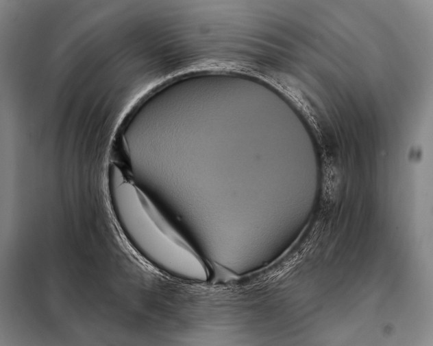 X0000097910896200804041459