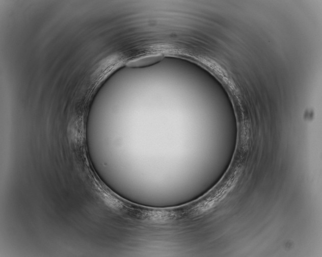 X0000097910897200804041459