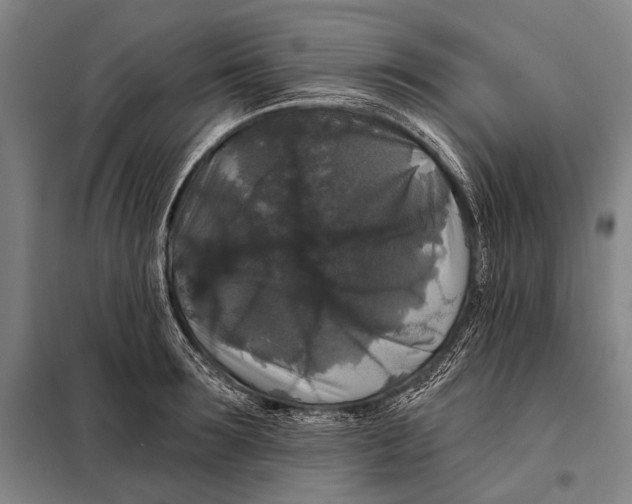 X0000097910899200804041459