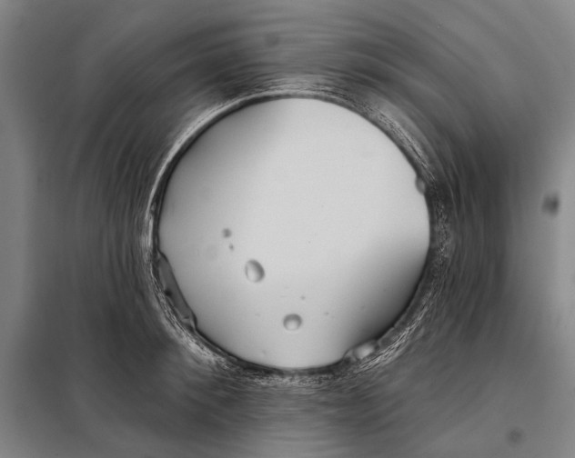 X0000097910900200804041459