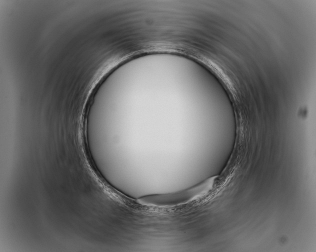 X0000097910901200804041459