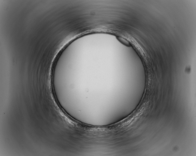 X0000097910902200804041459