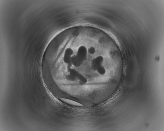 X0000097910903200804041459