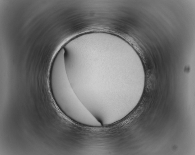 X0000097910904200804041459