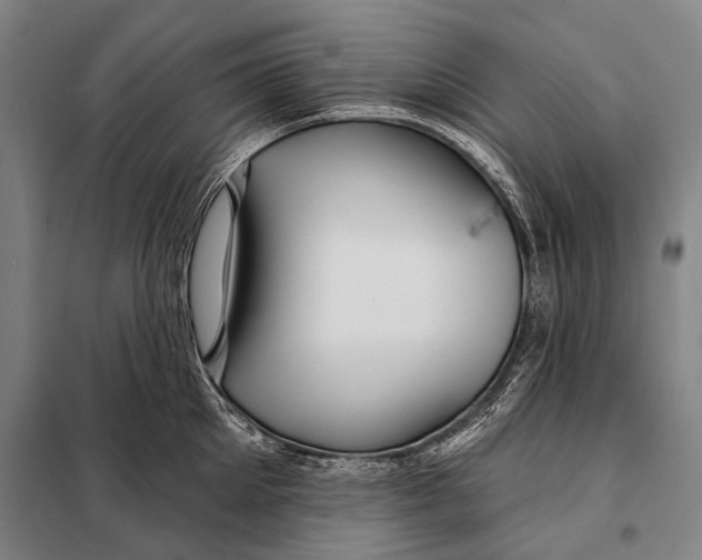 X0000097910905200804041459