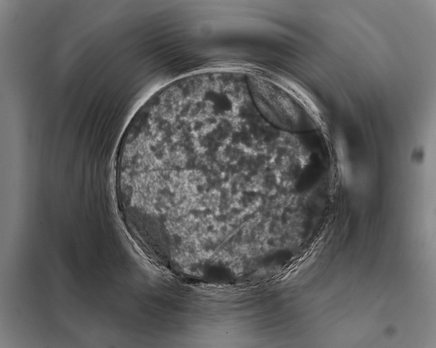 X0000097910907200804041459