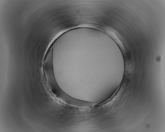 X0000097910908200804041459