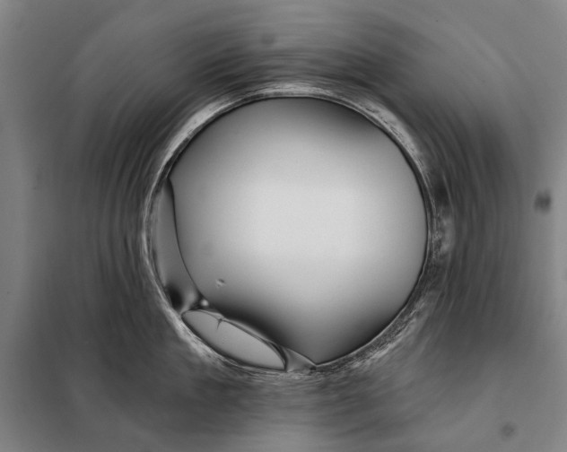 X0000097910909200804041459