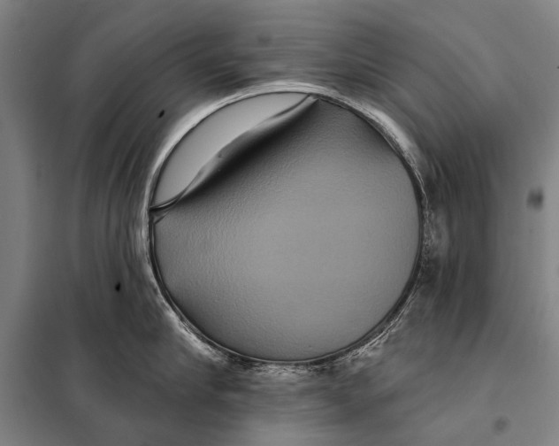 X0000097910910200804041458