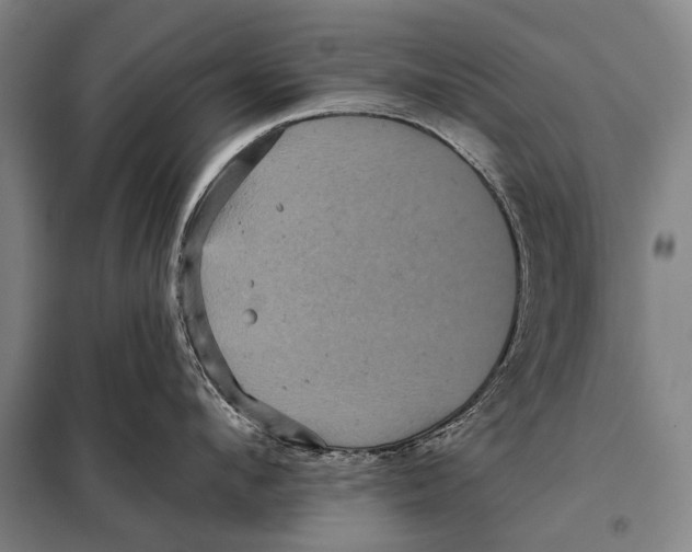 X0000097910912200804041458