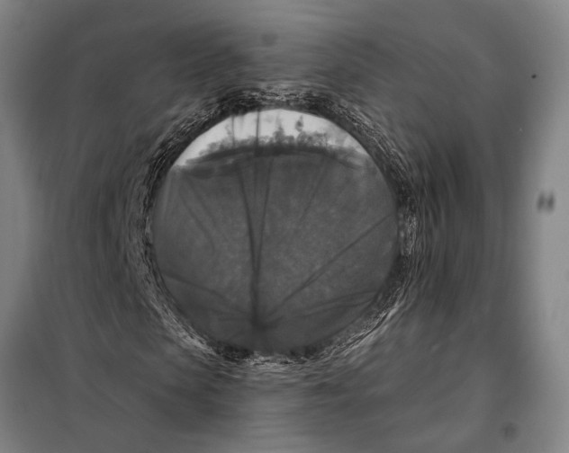 X0000097910913200804041458