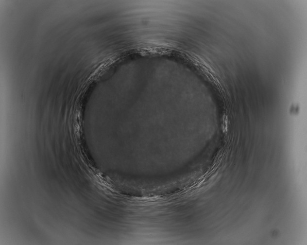 X0000097910915200804041458