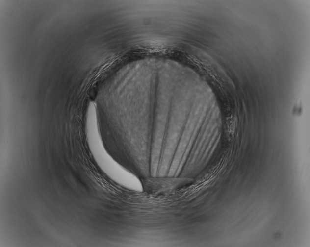 X0000097910916200804041458