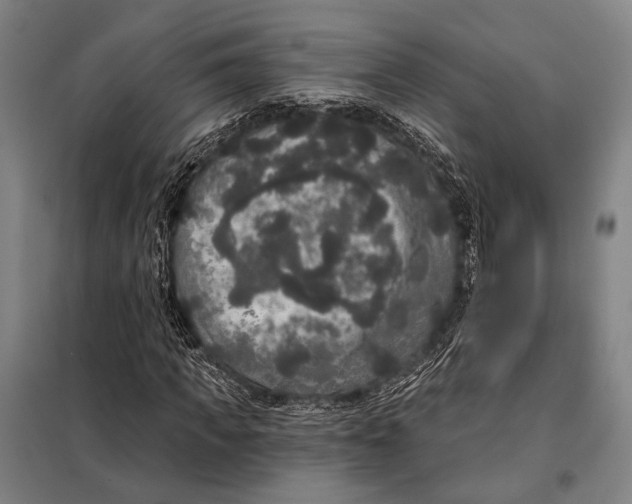 X0000097910917200804041458