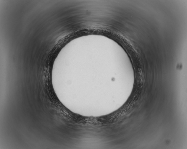 X0000097910918200804041458