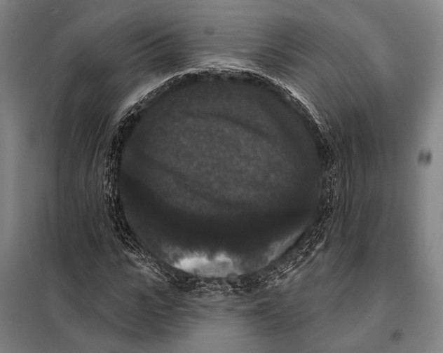 X0000097910919200804041458