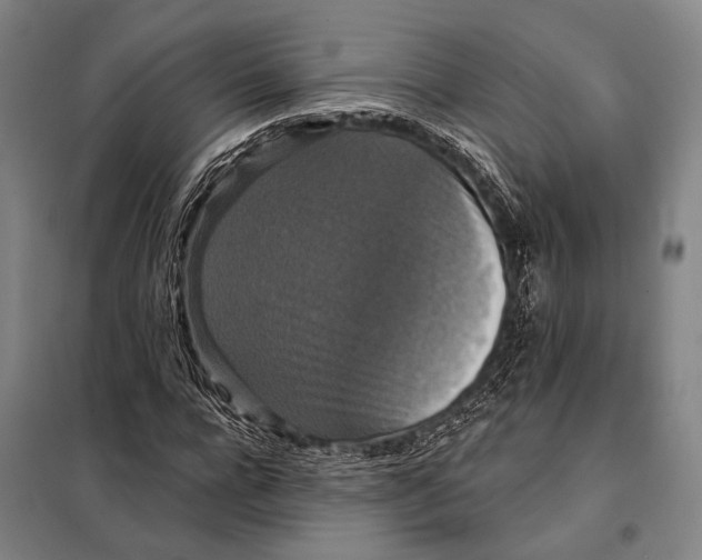 X0000097910920200804041458